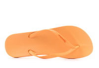 Ipanema Flip-flop Anatomic Colors Thong 2