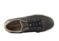 Timberland Pantofi casual Adv 2.0 Leather Ox 2