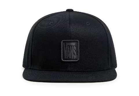 Vans Kačket Skate AVE 2.0 Snapback