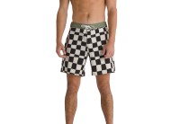 Vans Šorts The Daily Check Boardshort 1