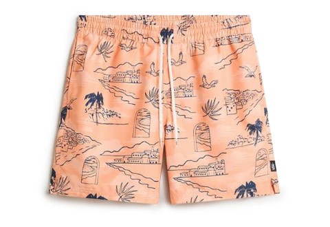 Vans Šorts Primary Print Elastic Boardshort